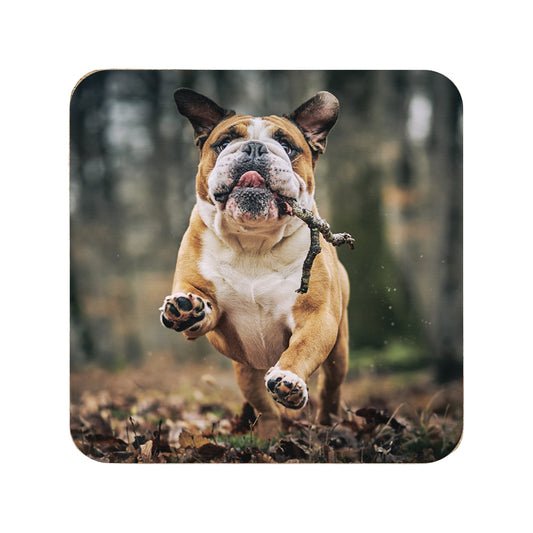 Square wooden coaster personalised with a pet photo.