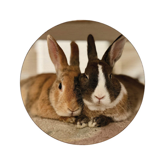 Round wooden coaster personalised with a pet photo of two rabbits.