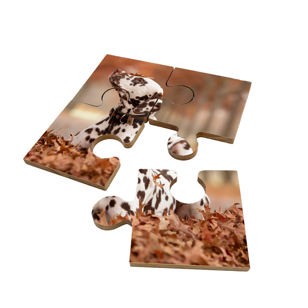 A set of 4 bamboo coasters printed with a pet photo of a dalmatian dog. The coasters fit together as a jigsaw puzzle to complete the image.