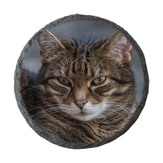 Round slate coaster with a cat's face on a white background