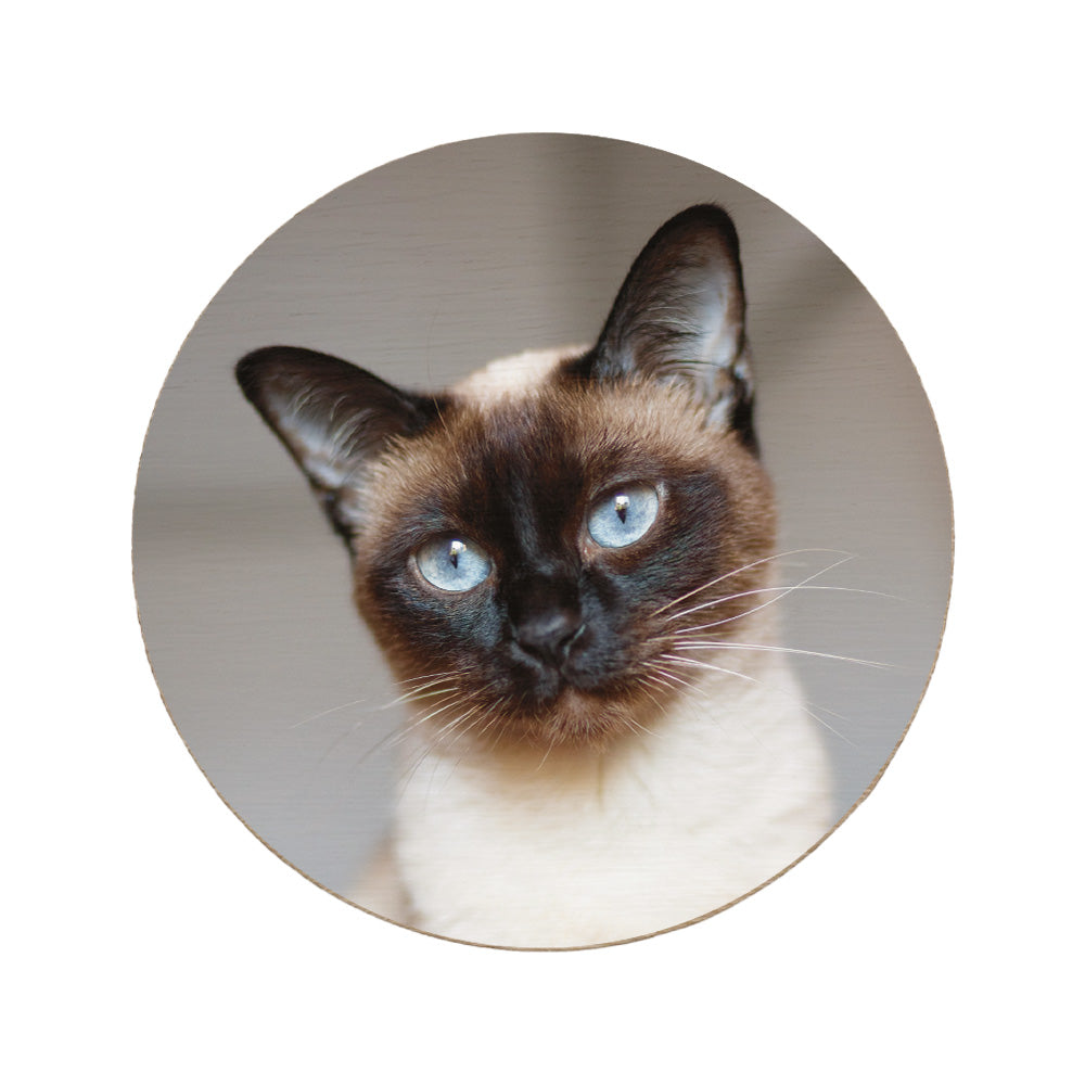 Round wooden coaster personalised with a photo of a cat's face.