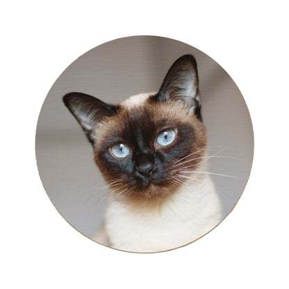 Round wooden coaster personalised with a photo of a cat's face.