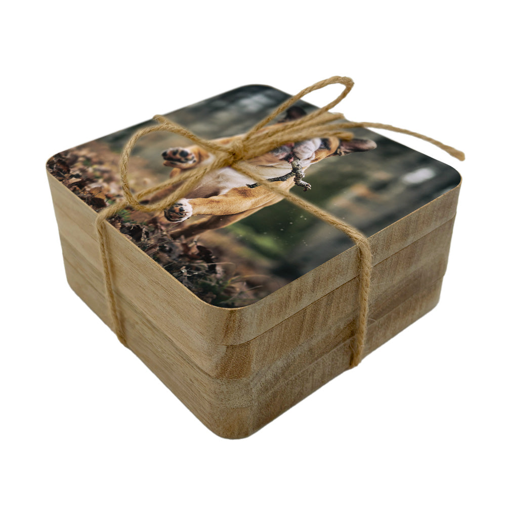 Set of square wooden coasters personalised with a pet photo.