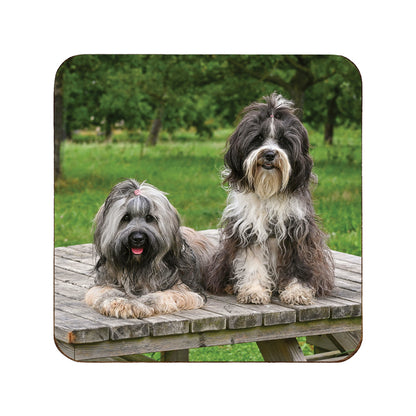 Square wooden coaster personalised with a pet photo of two dogs