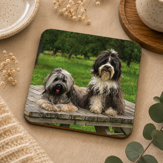 Square wooden coaster personalised with a pet photo of two dogs, set on a dressing table.