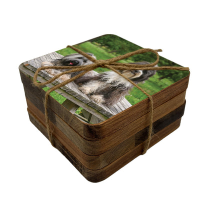Set of 4 square wooden coaster personalised with a pet photo of two dogs, and tied with twine.